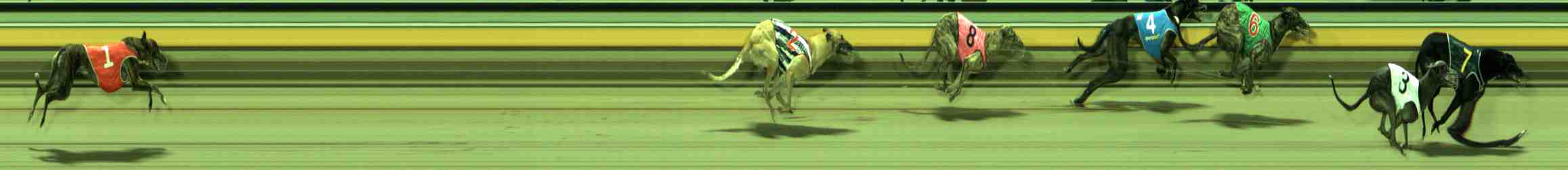 Photo finish for Sale Race 7