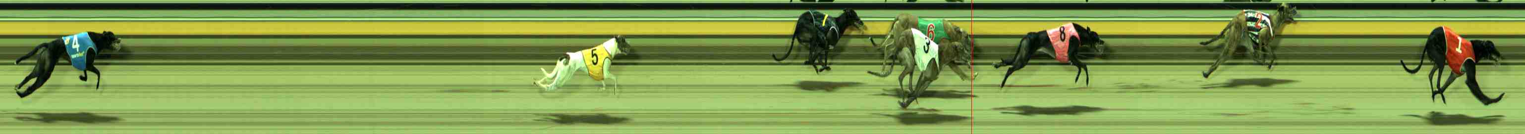 Photo finish for Sale Race 8