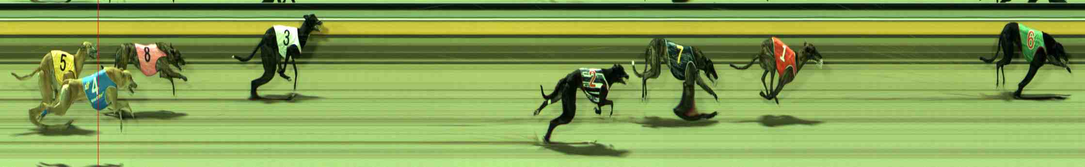 Photo finish for Sale Race 9