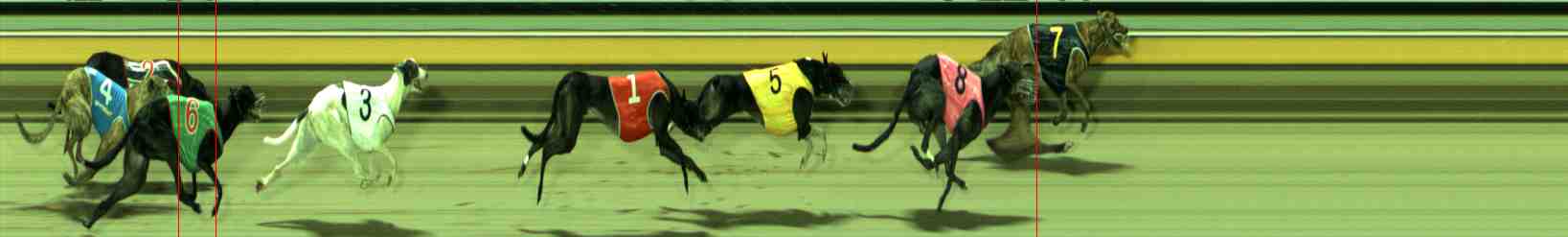 Photo finish for Sale Race 10