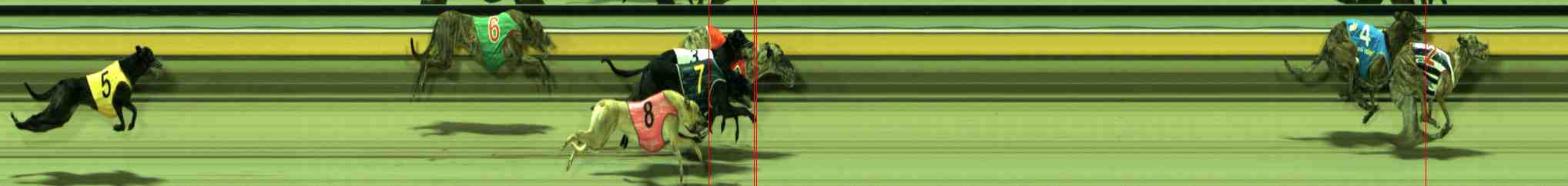 Photo finish for Sale Race 11