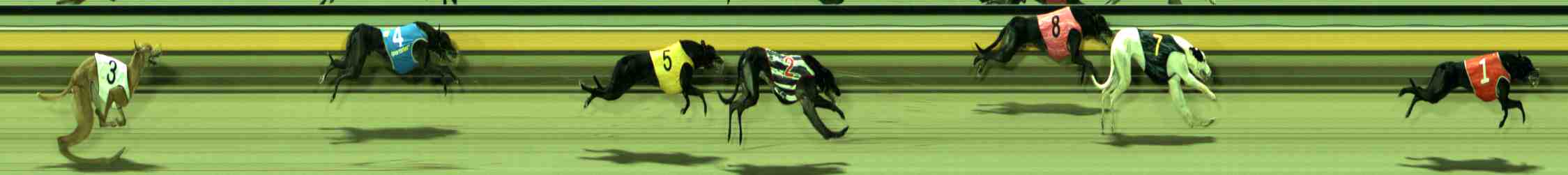 Photo finish for Sale Race 12
