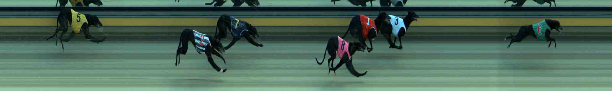 Photo finish for Sale Race 1