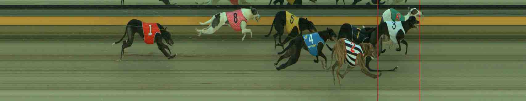 Photo finish for Sale Race 3