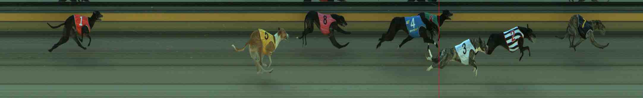 Photo finish for Sale Race 4