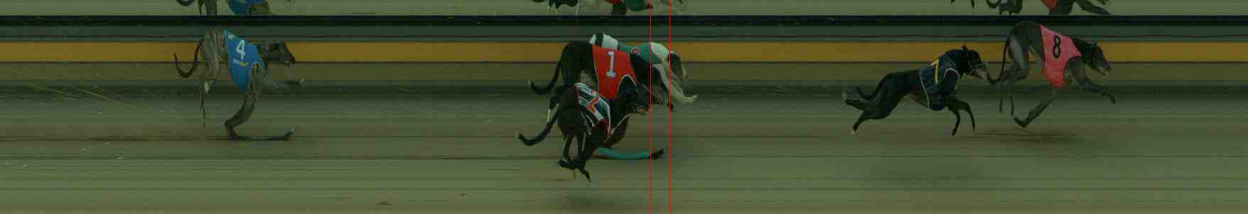 Photo finish for Sale Race 5