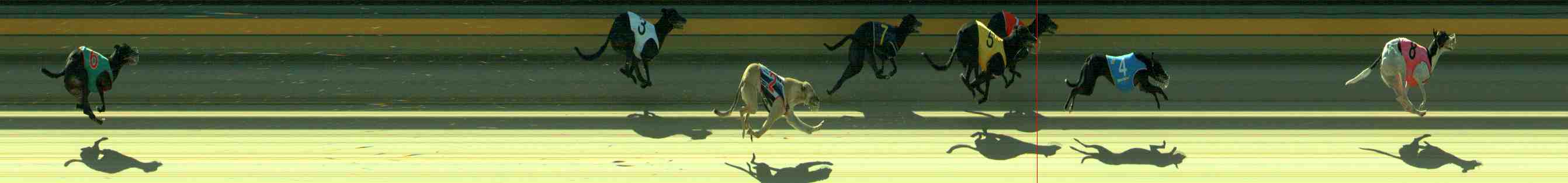 Photo finish for Sale Race 7