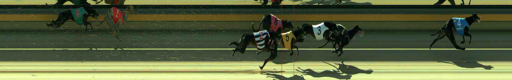 Photo finish for Sale Race 8
