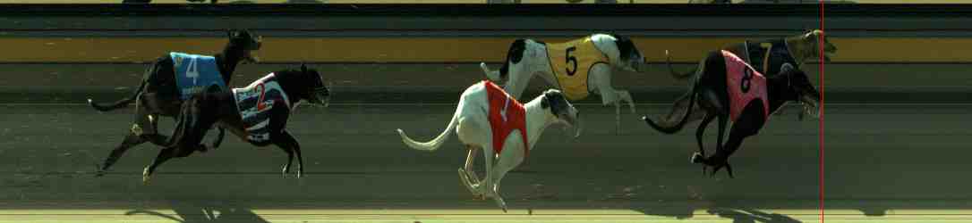 Photo finish for Sale Race 9