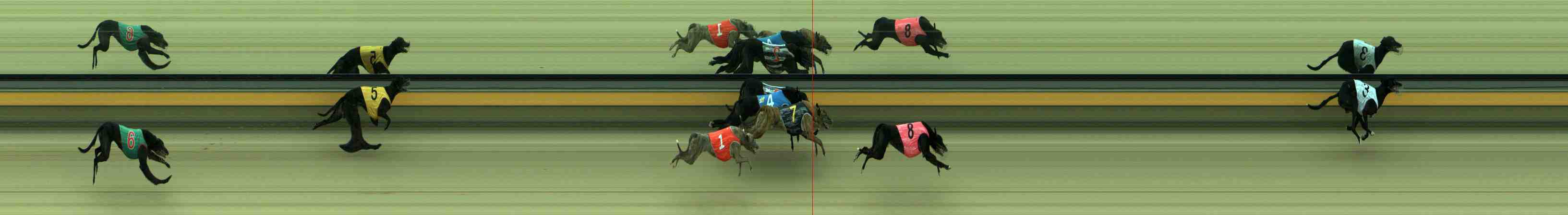 Photo finish for Sale Race 10