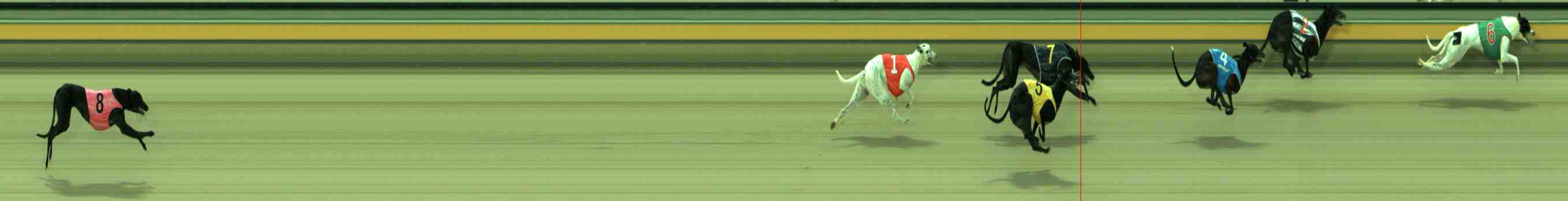 Photo finish for Sale Race 1