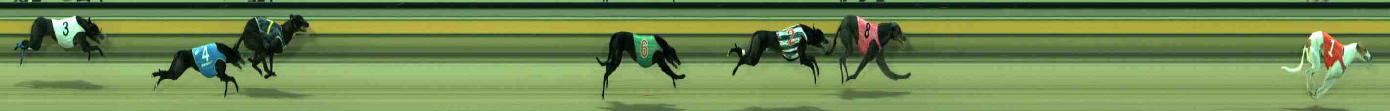 Photo finish for Sale Race 2