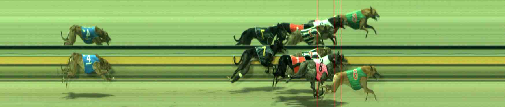 Photo finish for Sale Race 3