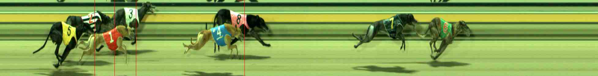 Photo finish for Sale Race 4