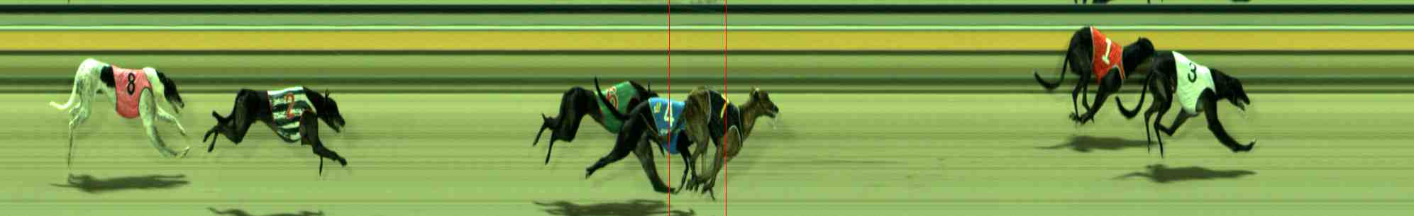 Photo finish for Sale Race 5