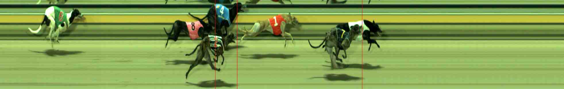 Photo finish for Sale Race 6