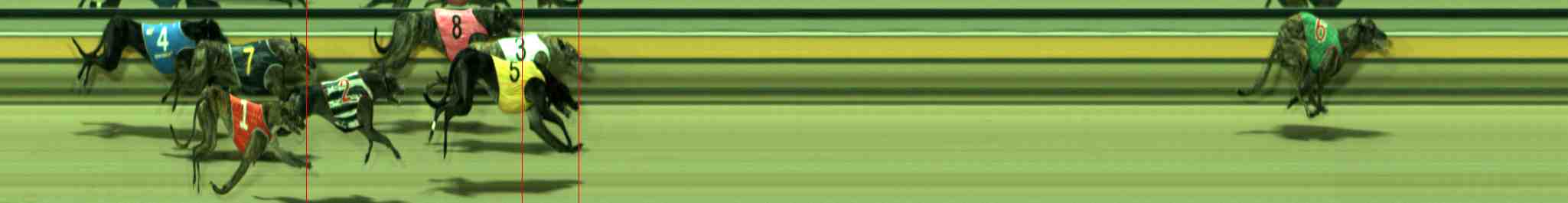 Photo finish for Sale Race 7