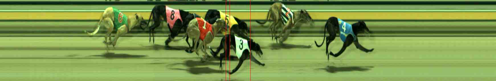 Photo finish for Sale Race 8