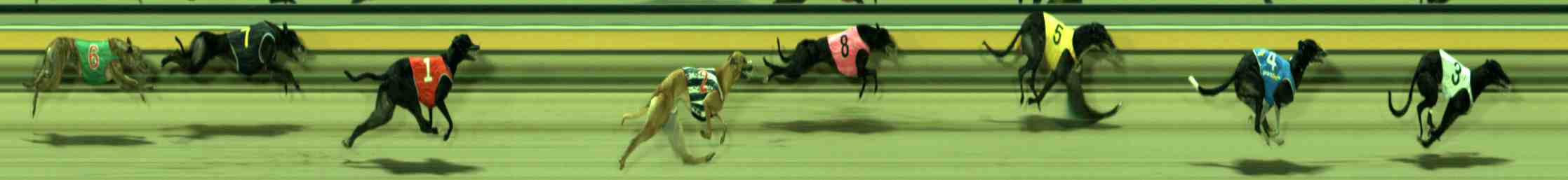 Photo finish for Sale Race 9