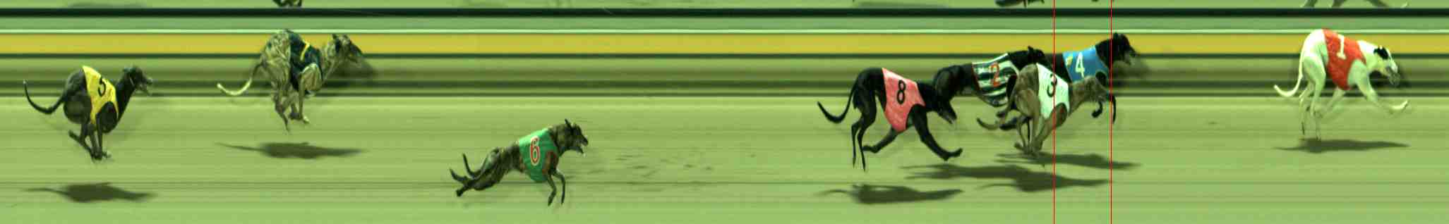 Photo finish for Sale Race 10