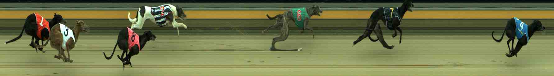 Photo finish for Sale Race 1