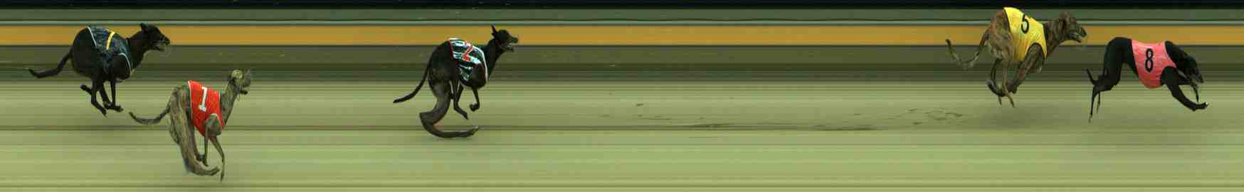 Photo finish for Sale Race 2