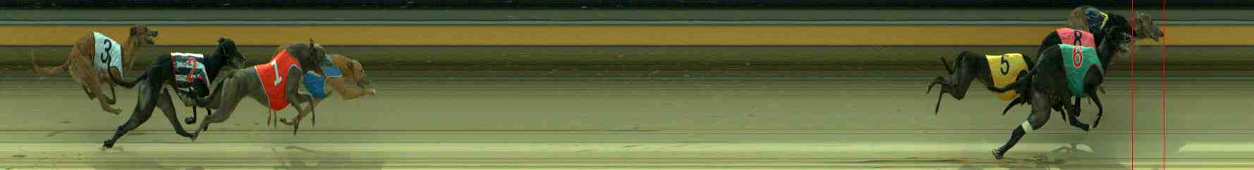 Photo finish for Sale Race 4