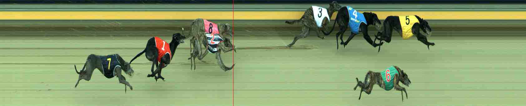 Photo finish for Sale Race 5