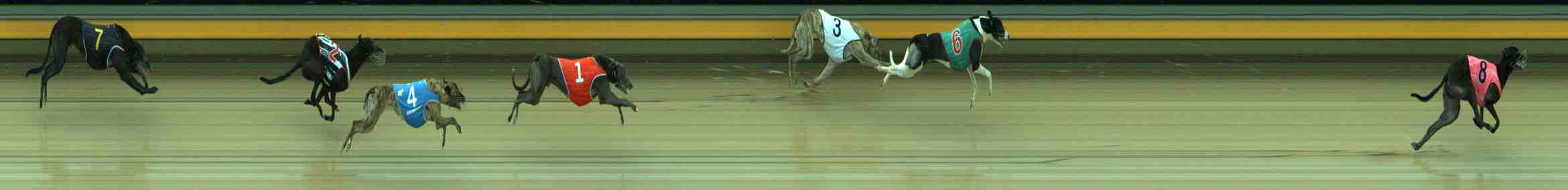 Photo finish for Sale Race 7