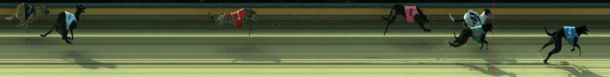 Photo finish for Sale Race 8