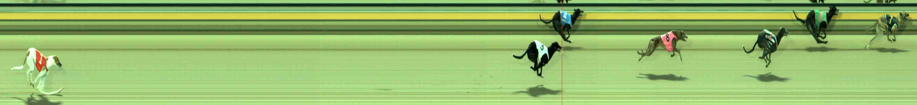 Photo finish for Sale Race 1