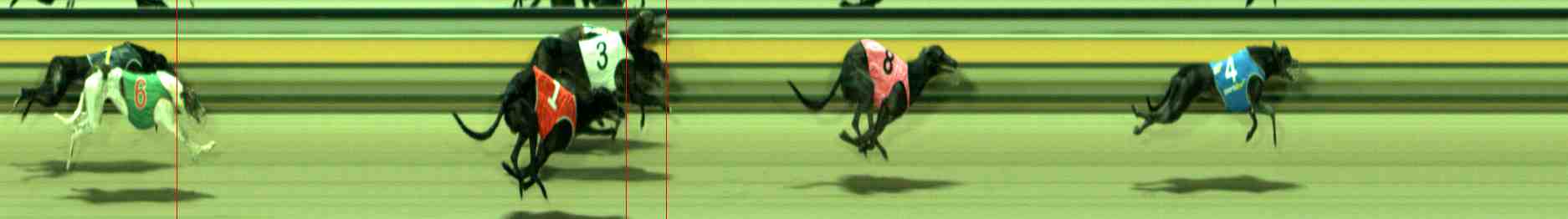 Photo finish for Sale Race 2