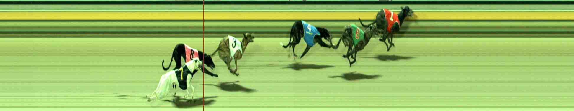 Photo finish for Sale Race 3