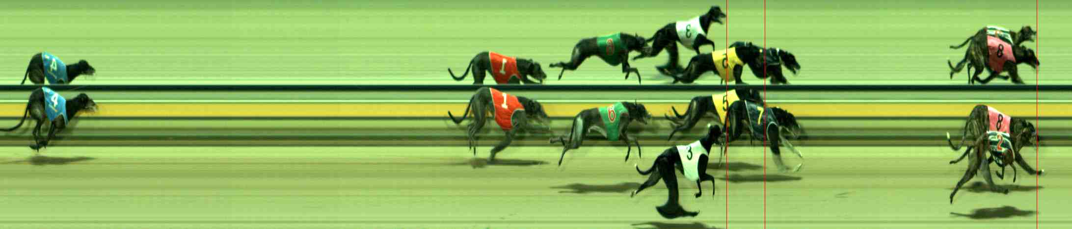 Photo finish for Sale Race 4