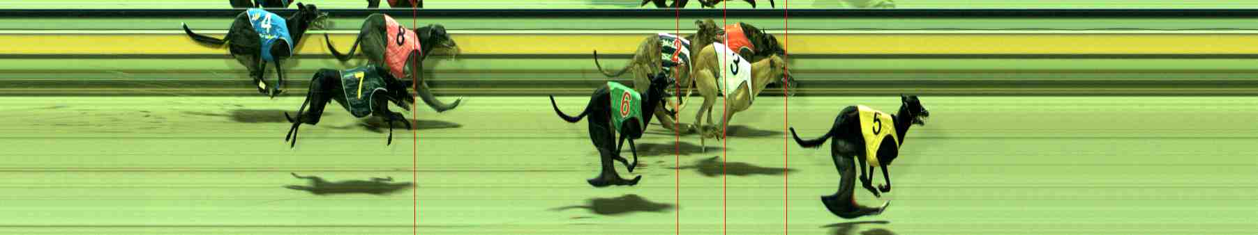 Photo finish for Sale Race 5