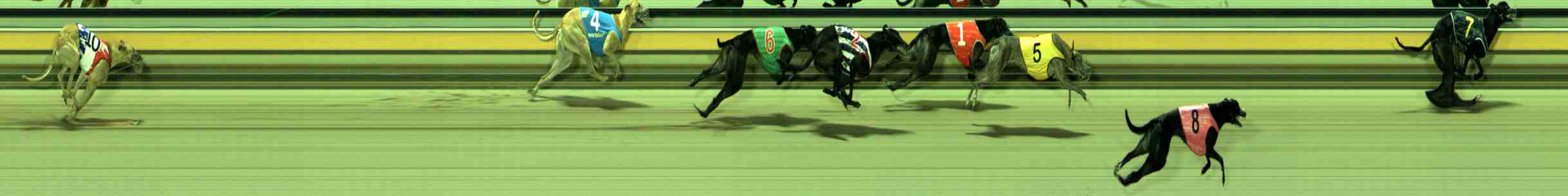 Photo finish for Sale Race 7