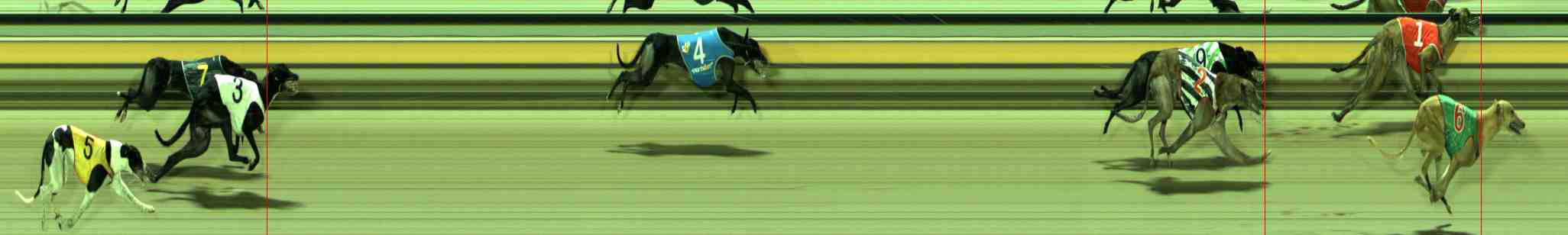 Photo finish for Sale Race 8