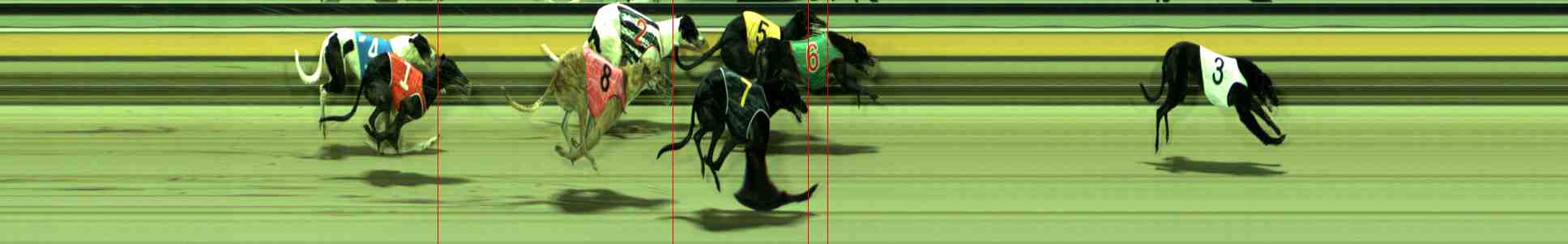 Photo finish for Sale Race 9