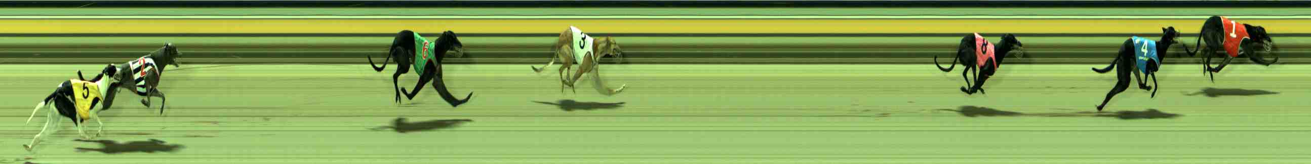 Photo finish for Sale Race 10
