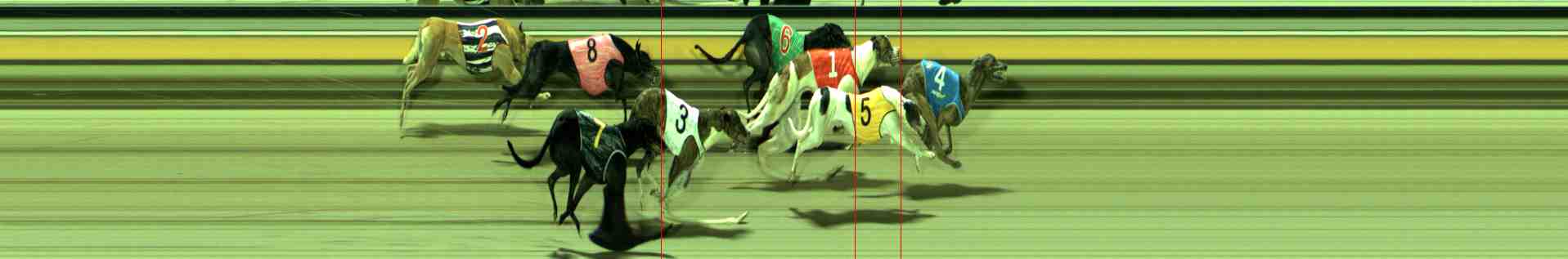 Photo finish for Sale Race 11