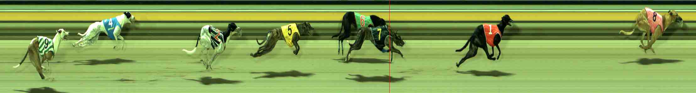 Photo finish for Sale Race 12
