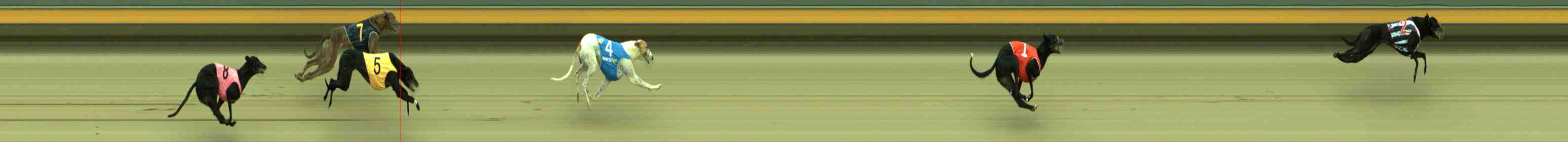 Photo finish for Sale Race 1