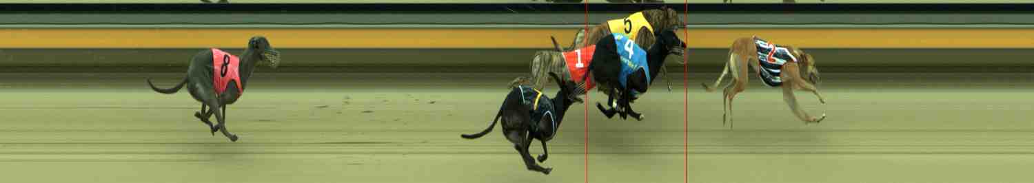 Photo finish for Sale Race 2