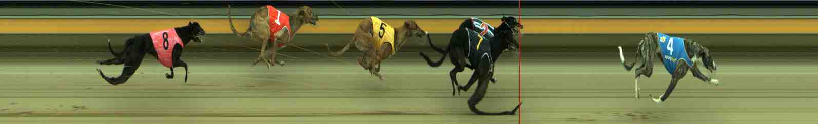 Photo finish for Sale Race 3