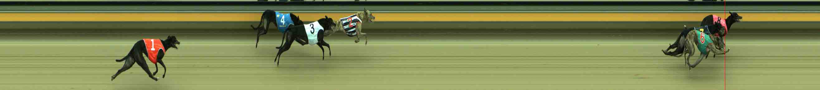 Photo finish for Sale Race 4