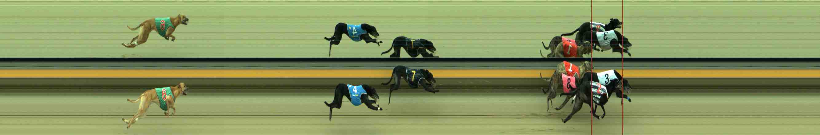Photo finish for Sale Race 5