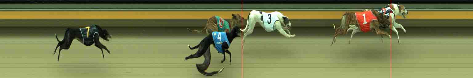Photo finish for Sale Race 6