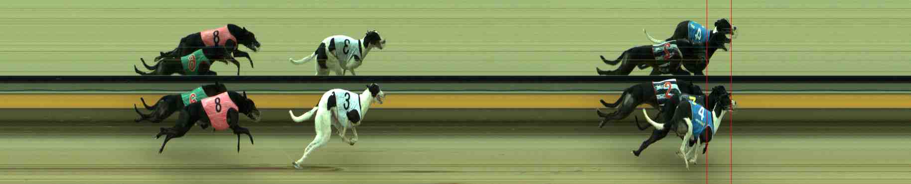 Photo finish for Sale Race 7