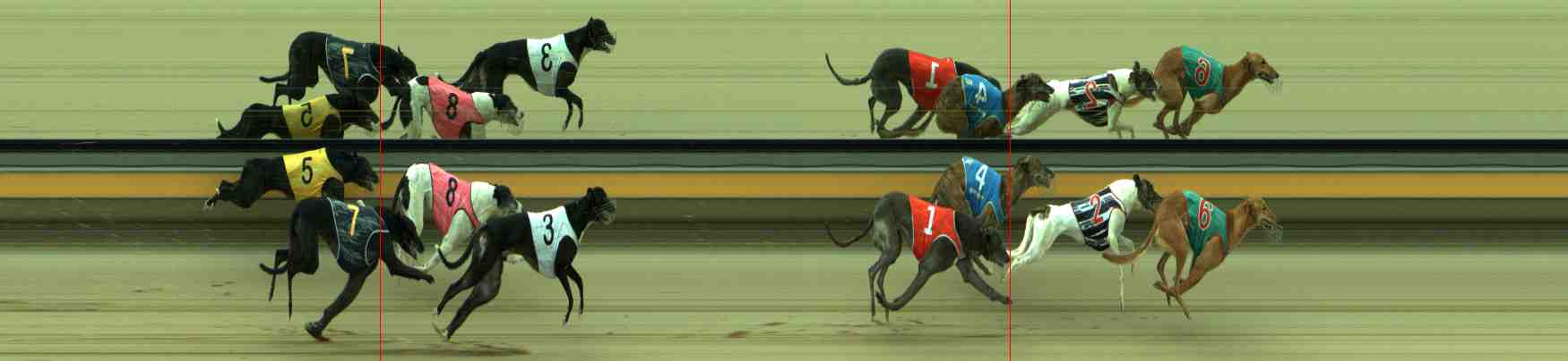 Photo finish for Sale Race 8