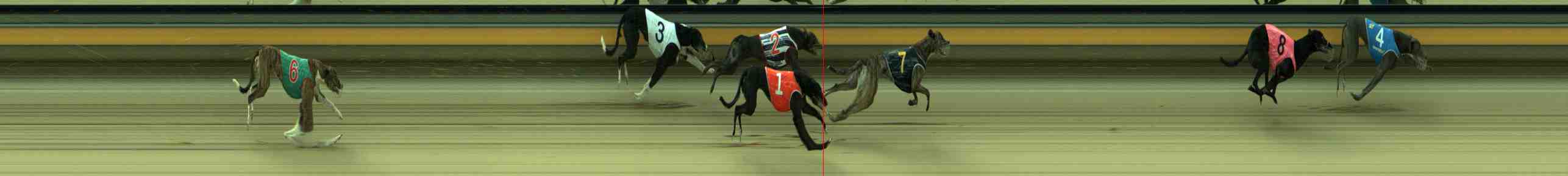 Photo finish for Sale Race 9